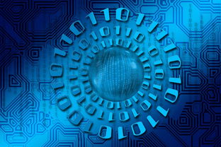 乐鱼体育APP官方下载-大数据应用助力训练科学管理，大数据在训练管理中的应用