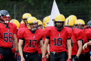 乐鱼官方登录入口-球员伤病防护不足，球员伤病对球员的影响